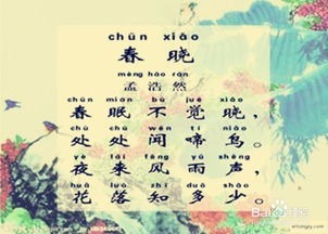 小學(xué)學(xué)過(guò)的描寫(xiě)祖國詩(shī)句的古詩(shī)