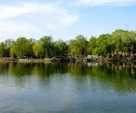 詩(shī)句,池塘,夏天