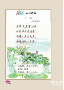 小池,古詩(shī),詩(shī)句,池塘