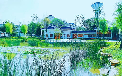 關(guān)于天津濱海的詩(shī)句