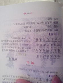 關(guān)于太幼稚的詩(shī)句