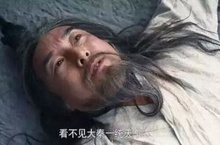 關(guān)于秦國的詩(shī)句