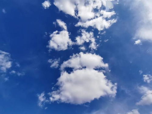 詩(shī)句,形態(tài),于云