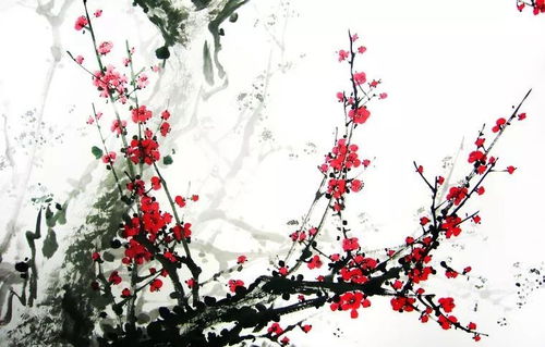 秋天梅花樹(shù)的詩(shī)句古詩(shī)詞