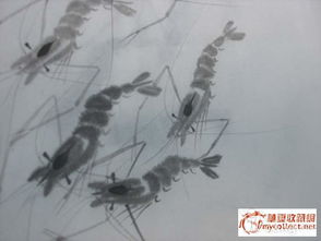 國畫(huà),詩(shī)句