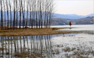 關(guān)于舒城的詩(shī)句