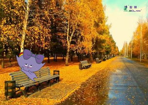 寫(xiě)秋天景色的詩(shī)句古詩(shī)大全,贊美秋天景色的詩(shī)句古詩(shī),關(guān)于秋天景色的詩(shī)句古詩(shī)