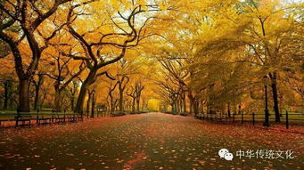 春夏秋冬,詩(shī)句,賞析