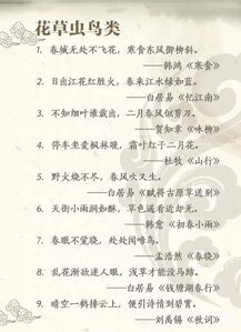 詩(shī)句,小學(xué)