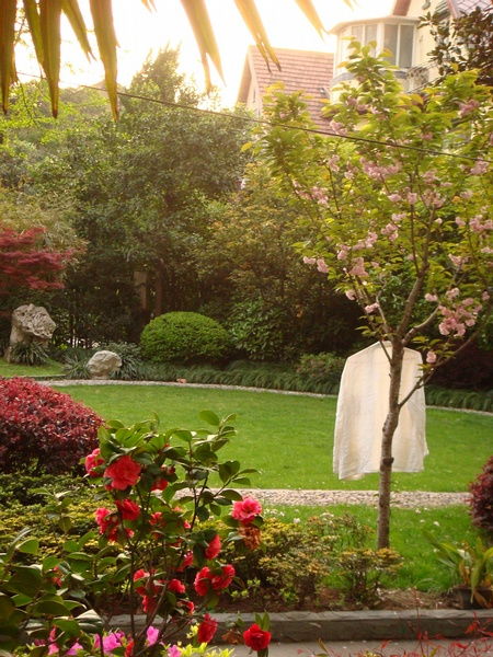 關(guān)于陌上看花人的詩(shī)句