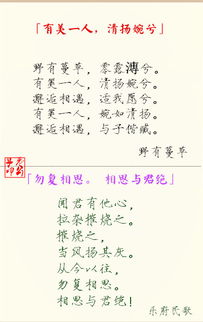 古詩(shī),詩(shī)句,分離