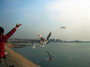 關(guān)于冬日陽(yáng)光普照的詩(shī)句