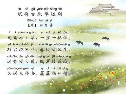 古詩(shī)中帶有草的詩(shī)句