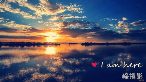 關(guān)于秋花開(kāi)花謝的詩(shī)句