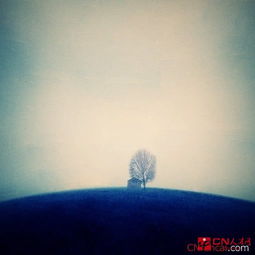 連續兩句懷親之情的古詩(shī)句