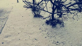 關(guān)于有云的古詩(shī)句