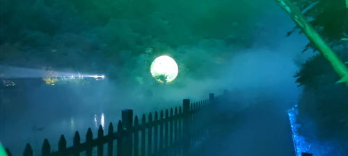 關(guān)于明月的愛(ài)情古詩(shī)句