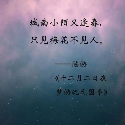 叫聲悲涼凄慘古詩(shī)句有哪些