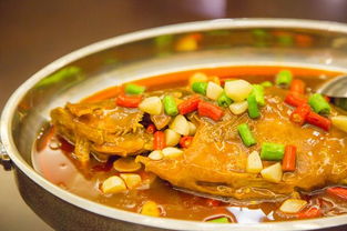 關(guān)于臭鱖魚(yú)的詩(shī)句