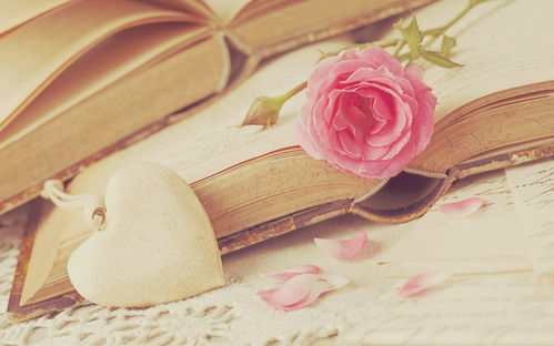 恭喜朋友喜得孫女的古詩(shī)句