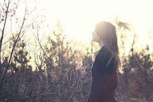 詩(shī)句,文藝,清新,時(shí)光