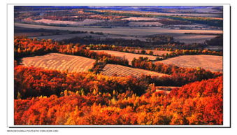 關(guān)于土地的詩(shī)句大全