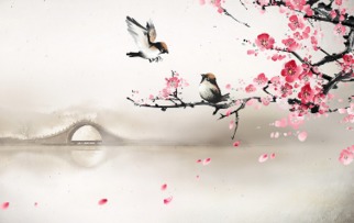 關(guān)于柳的思戀詩(shī)句