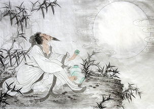 月亮,詩(shī)句,團圓,蘇軾