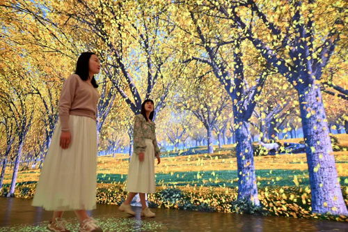 關(guān)于花瓣飄落的詩(shī)句