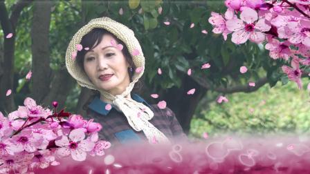 關(guān)于一簾幽夢(mèng)的詩(shī)句