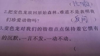 反語(yǔ)修辭手法古詩(shī)句