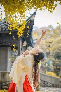 古詩(shī),詩(shī)句,中帶,圣光