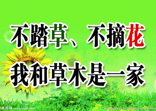 關(guān)于禁止摘花踏草的詩(shī)句