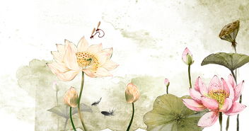 有關(guān)于蓮花的詩(shī)句