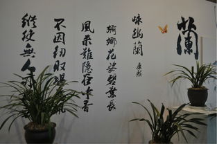 形容蘭草古詩(shī)句