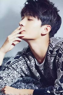 關(guān)于楊洋的唯美詩(shī)句