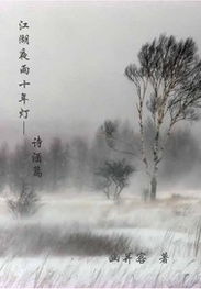 關(guān)于酒江的詩(shī)句