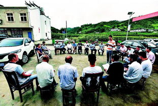 古詩(shī)詞寫(xiě)田間地頭詩(shī)句