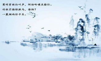 描寫(xiě)樂(lè )觀(guān)豁達的古詩(shī)句