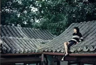 描寫(xiě)枇杷樹(shù)的詩(shī)句古詩(shī)