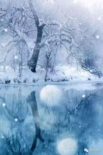 詩(shī)句,詩(shī)意,富有,于雪