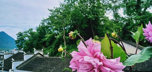 描寫(xiě)三四月份的詩(shī)句,描寫(xiě)三四月份春天的詩(shī)句,形容三四月份的詩(shī)句和詞語(yǔ)