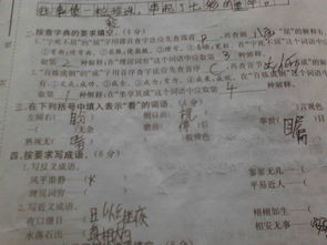 關(guān)于積極表態(tài)的詩(shī)句