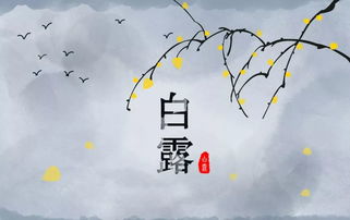關(guān)于露的詩(shī)句大全