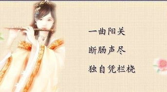 小說(shuō)中關(guān)于愛(ài)情的詩(shī)句