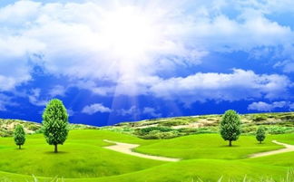 有關(guān)描寫(xiě)艾草的古詩(shī)句