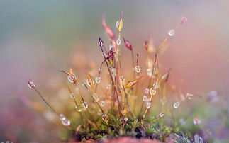 關(guān)于先受苦后美滿(mǎn)的詩(shī)句