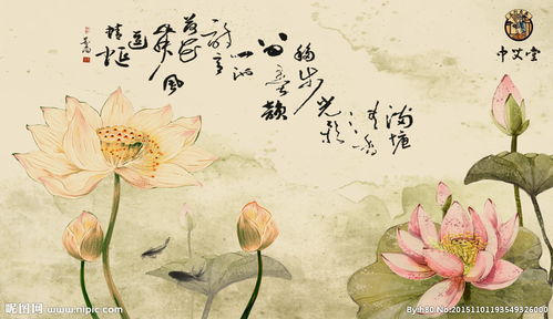 關(guān)于蓮花和魚(yú)的詩(shī)句