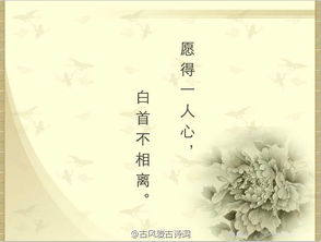 旅游古詩(shī)句大全唯美,古詩(shī)句大全唯美,體現幸福的古詩(shī)句大全唯美
