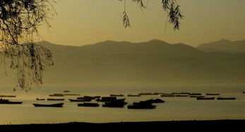 關(guān)于嵩縣的詩(shī)句